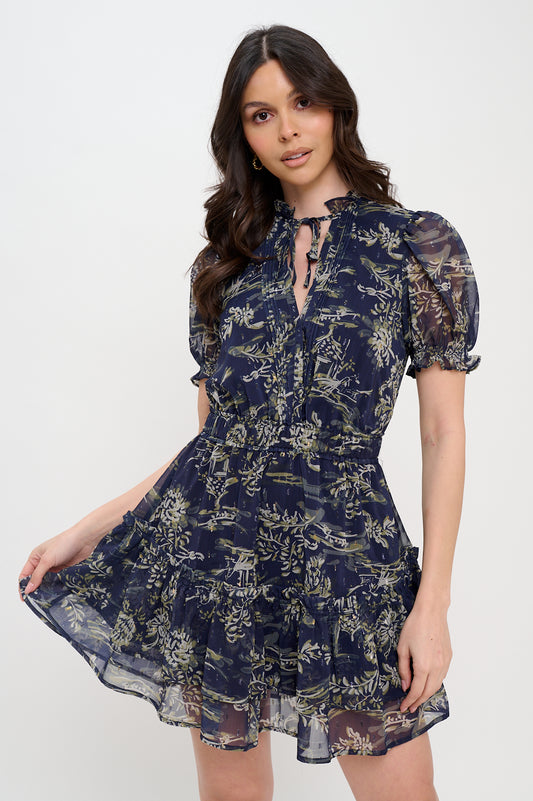 Winter Odyssey Puff Sleeve Dress