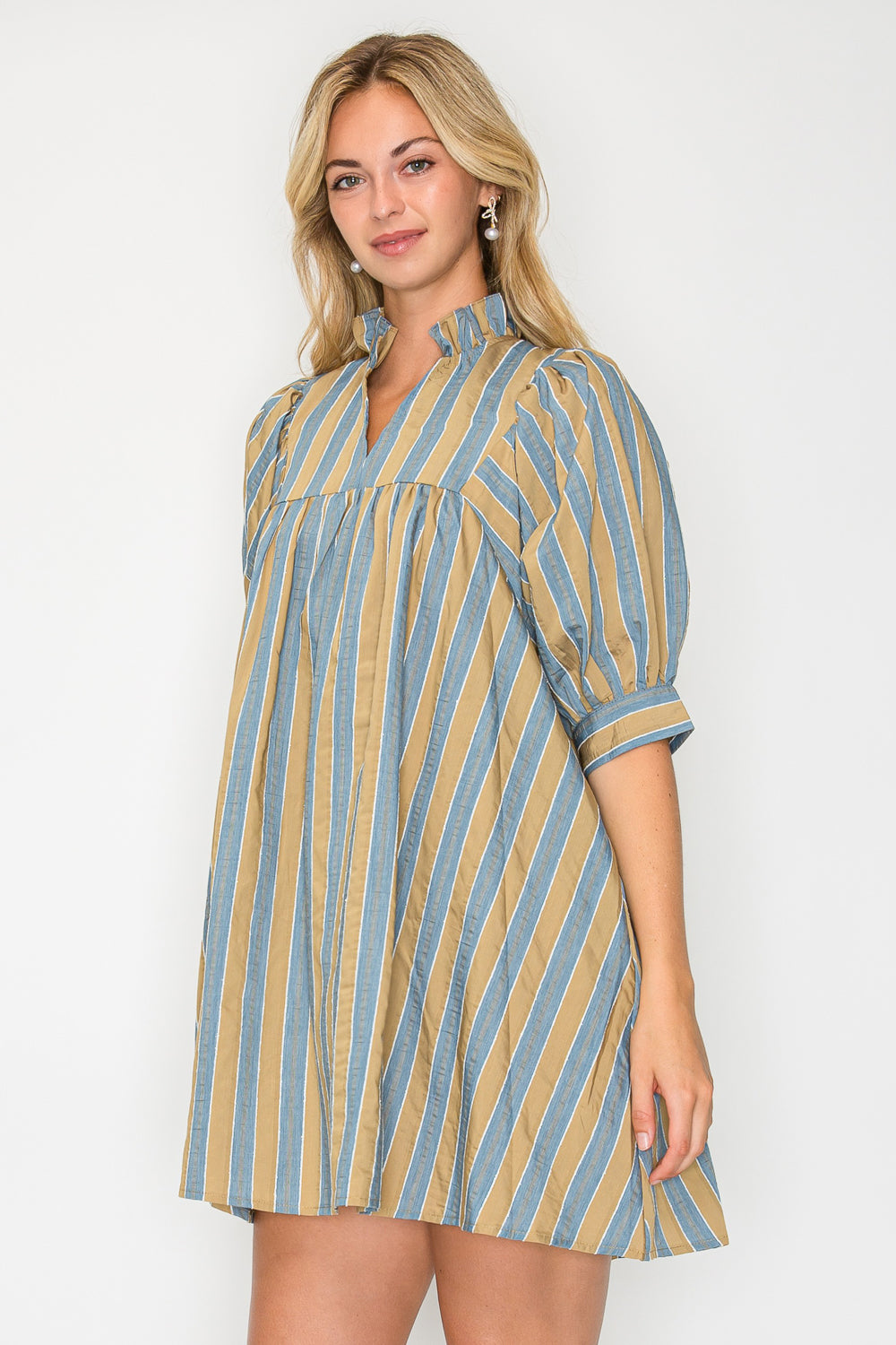 Hazel Fall Stripe Short Sleeve Dress