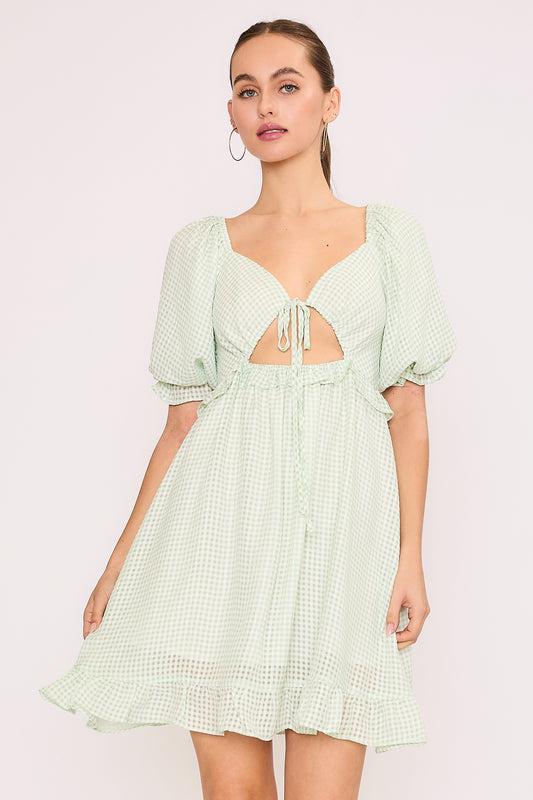 Mint Check Garden Dress